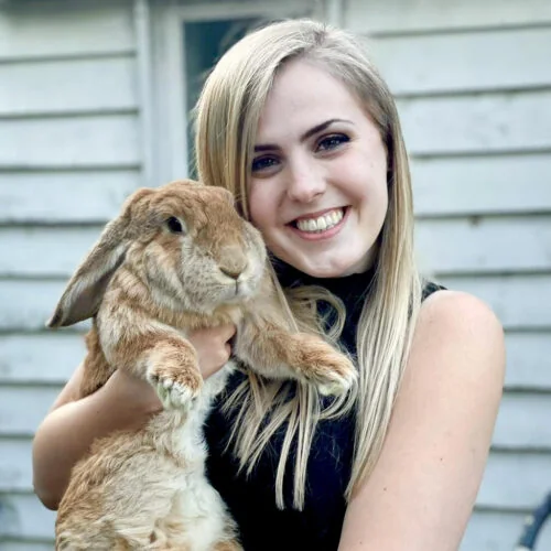 Veterinary surgeon Gemma Macura with a rabbit at Avenues Veterinary Clinic in Watford