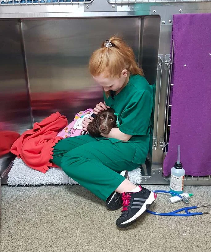 Veterinary nurse caring for a patient at A and G Vets in Bonnybridge