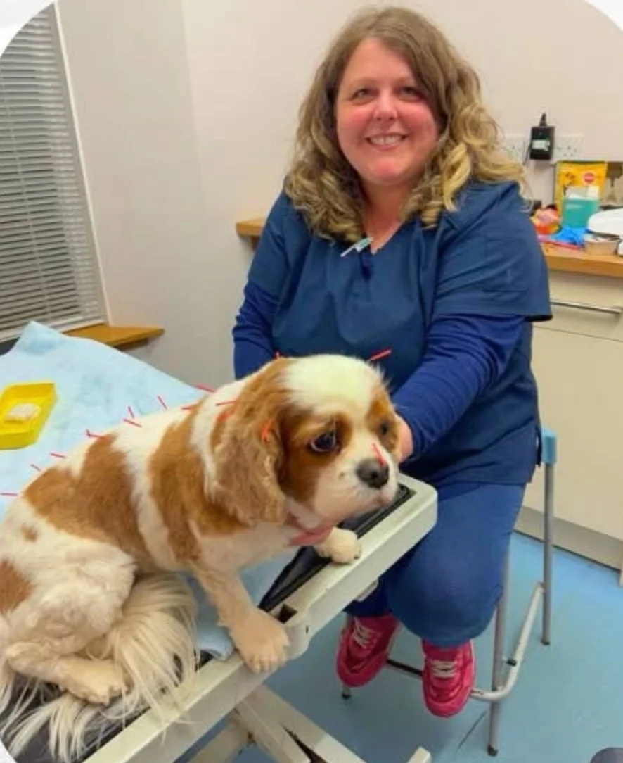 Adele Smart of Forth View Veterinary Services with a dog in a consulting room