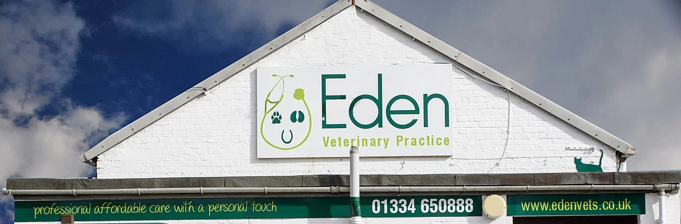 Eden Veterinary Practice building and entrance sign in Cupar