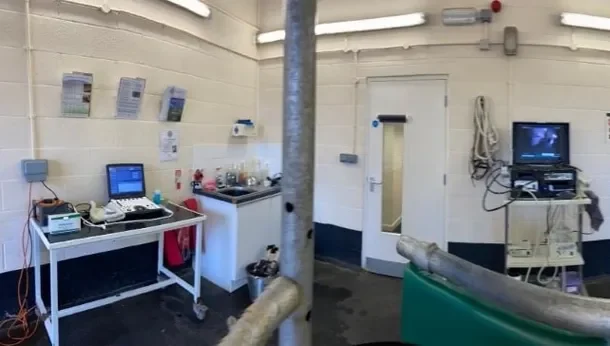 Equine examination area and diagnostic equipment at Wensum Valley Veterinary Surgeons in Fakenham