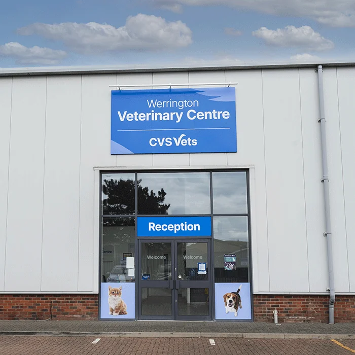 Entrance to Werrington Veterinary Centre in Peterborough