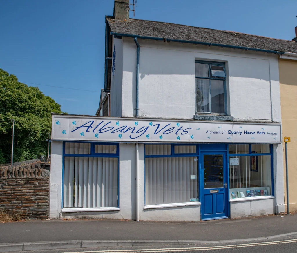 Albany Vets shopfront and entrance in Newton Abbot