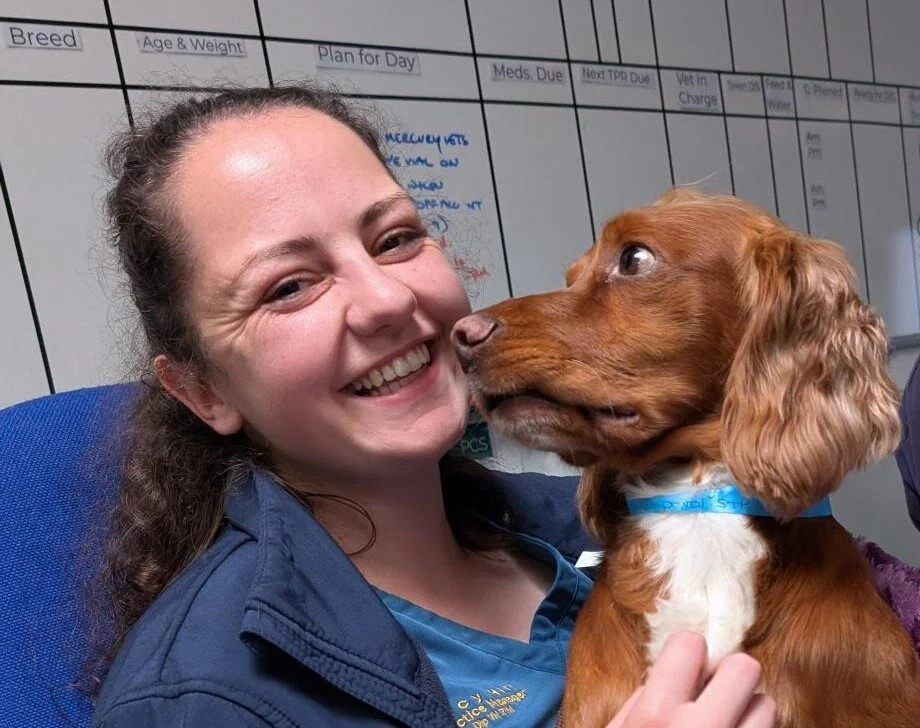 Whiskers Veterinary Practice team member with a dog in Heathfield, Newton Abbot