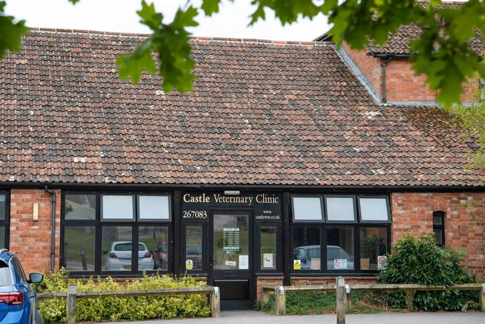 Exterior and entrance of Castle Veterinary Clinic – Poundbury