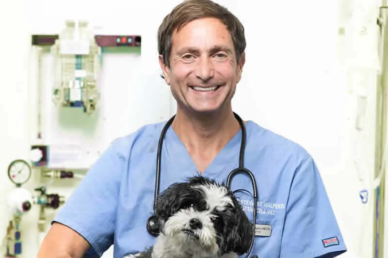 Stem Cell Vet founder Dr Stewart Halperin with a dog
