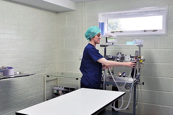 Operating theatre at Avonvale Vets in Wellesbourne