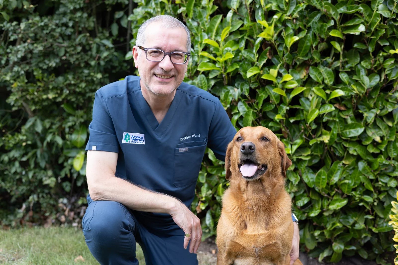 Veterinary dermatologist Simon Want with a dog at Advanced Veterinary Dermatology