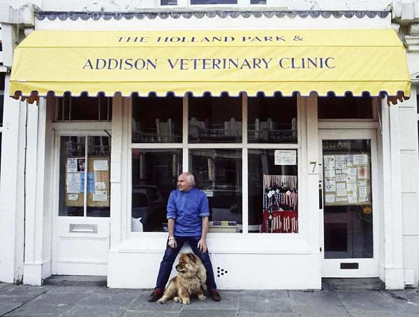 Veterinary surgeon outside Addison and Holland Park Veterinary Clinic in London