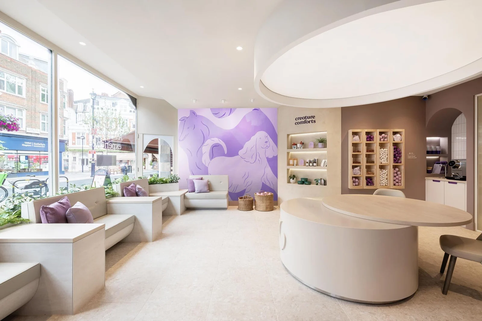 Reception and waiting area at Creature Comforts in St John’s Wood