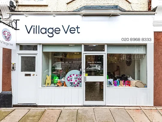 Exterior and entrance of Village Vet St Helens