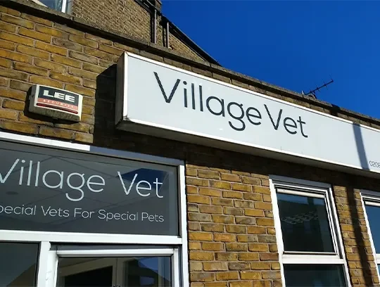 Exterior and entrance of Village Vet Kensal Green