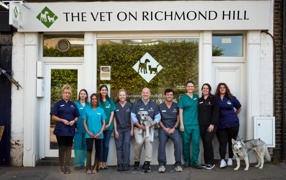 The Vet on Richmond Hill team outside the practice