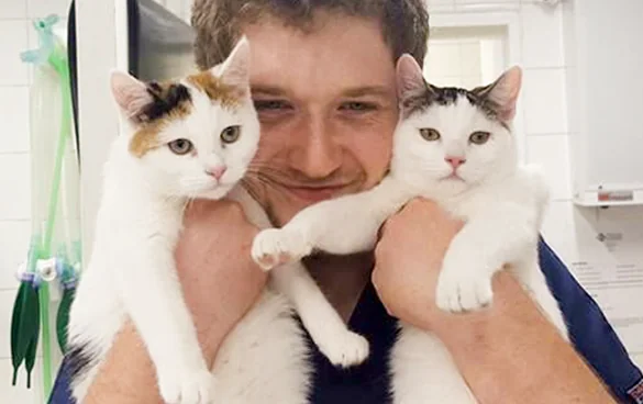 Kitten to Cat veterinary team member with two kittens at the Kew clinic