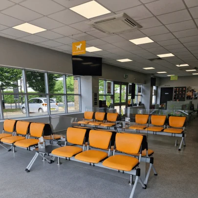 Reception and waiting area at The Pet Vet Morden, Mitcham and Wimbledon