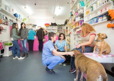 Brockwell Veterinary Surgery team and reception in Herne Hill