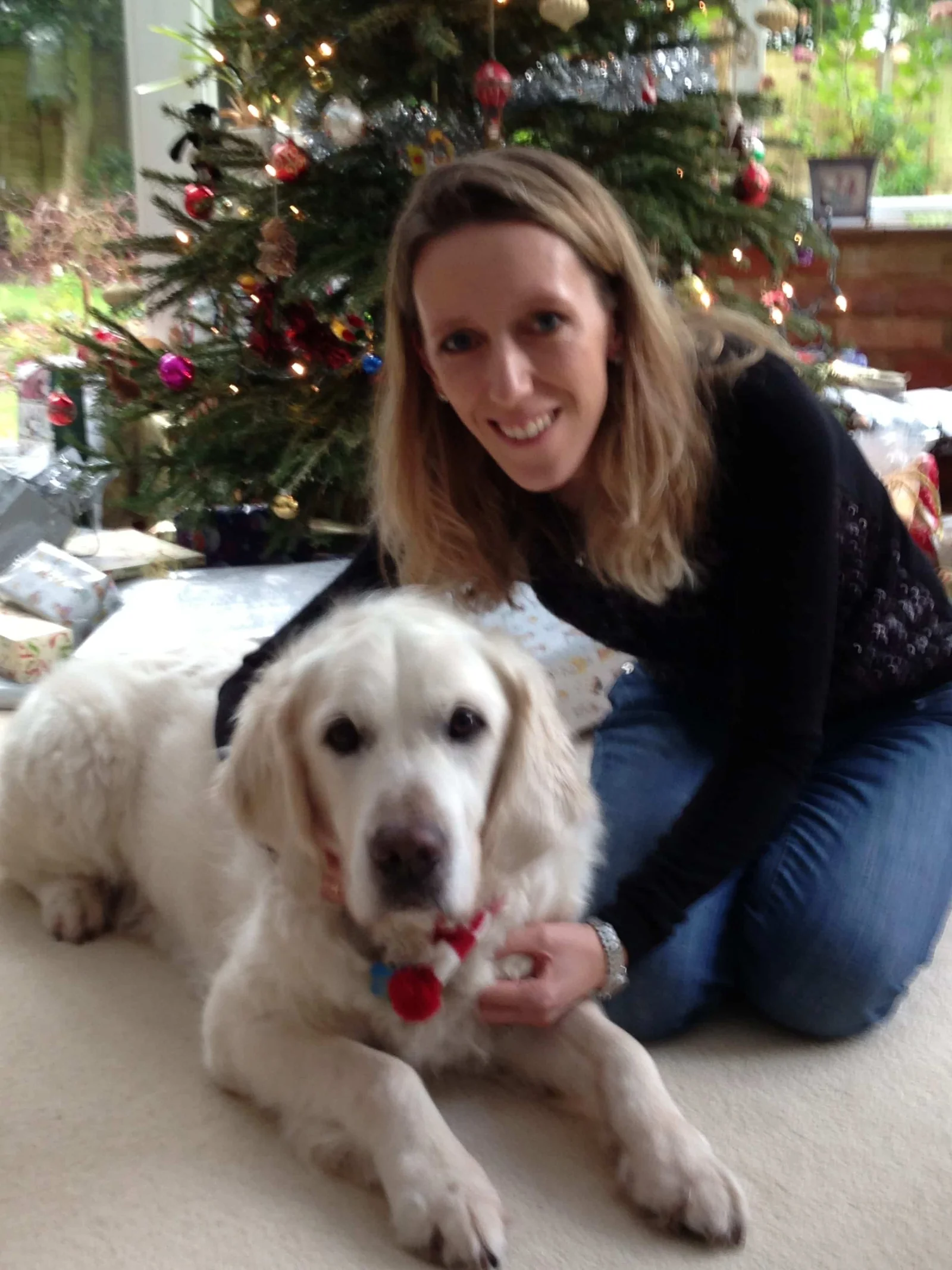 Veterinary surgeon Philippa Mitchell with a dog at Active Pet in Amersham
