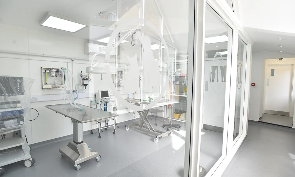 Operating theatre at the George Veterinary Hospital in Malmesbury